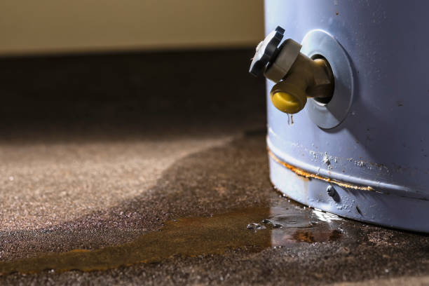 Best Water damage restoration experts  in Mountain Lodge Park, NY