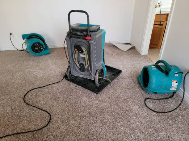 Best Water damage restoration mold remediation  in Mountain Lodge Park, NY