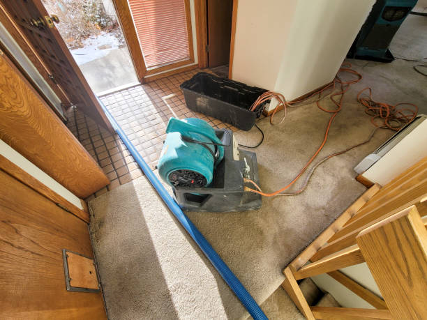 Best Water damage contractors near me  in Mountain Lodge Park, NY