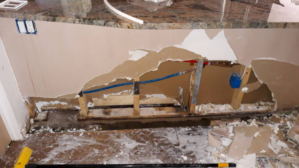Best Flood damage cleanup  in Mountain Lodge Park, NY