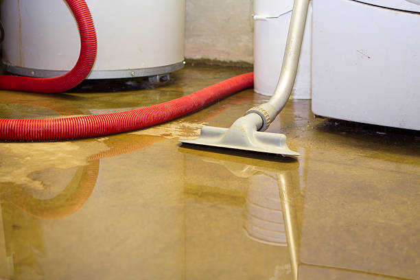  Mountain Lodge Park, NY Water damage restoration Pros
