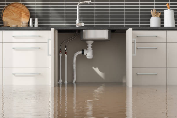 Best Carpet water damage restoration  in Mountain Lodge Park, NY