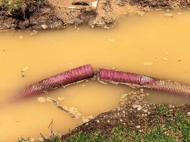 Best Residential water damage restoration  in Mountain Lodge Park, NY