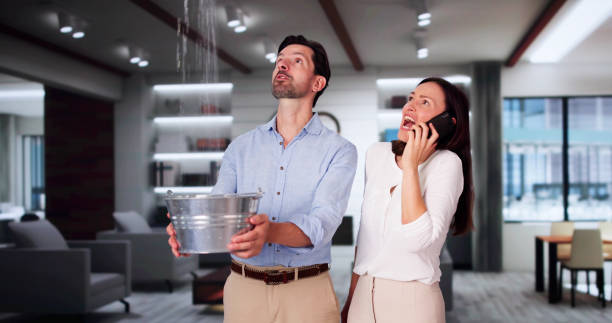 Best Ceiling water damage repair  in Mountain Lodge Park, NY