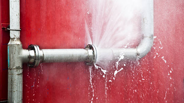 Best Flood restoration services  in Mountain Lodge Park, NY