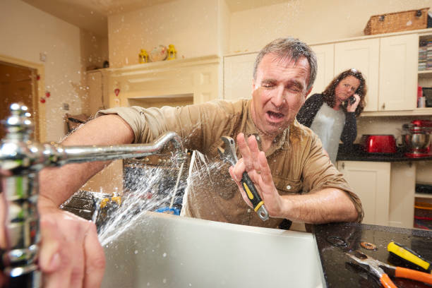 Best Water damage cleanup near me  in Mountain Lodge Park, NY